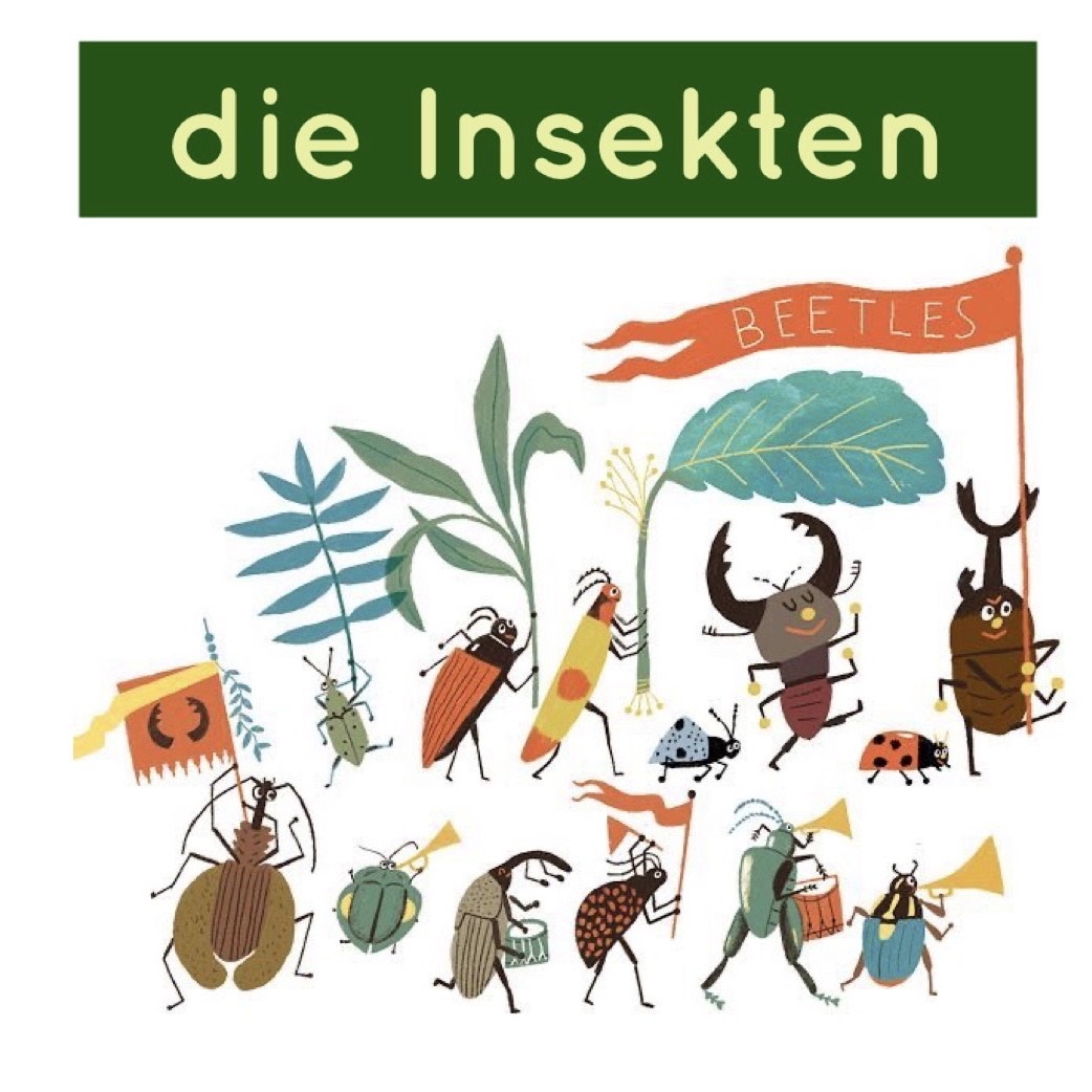 Frage an Dich: Hast du Insekten gern oder hasst du Insekten?😀 
Насекомые (die Insekten) на немецком!

Der Schmetterling — бабочка

Beispiel: Ein schöner Schmetterling landete auf meiner Nase — Красивая бабочка села на мой нос.

Der Marienkäfer — божья коровка

Beispiel: Der Marienkäfer ist ein Symbol für Glück. — Божья коровка — символ удачи.

Die Biene — пчела

Beispiel: Einmal hat sie geschrieen, weil sie von einer Biene gestochen wurde. — Один раз она закричала, потому что ее ужалила пчела.

Die Spinne — паук

Beispiel: Da ist eine sehr große Spinne auf Ihrer Hand. — У Вас на руке большой паук.

Die Raupe — гусеница

Beispiel: Aus dieser Raupe wird einmal ein schöner Schmetterling. — Эта гусеница превратится в прекрасную бабочку.

Die Ameise — муравей

Beispiel: Die Ameisen arbeiten immer — Муравьи постоянно трудятся.