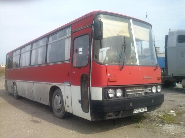 Фото взято из интернета для иллюстрации.