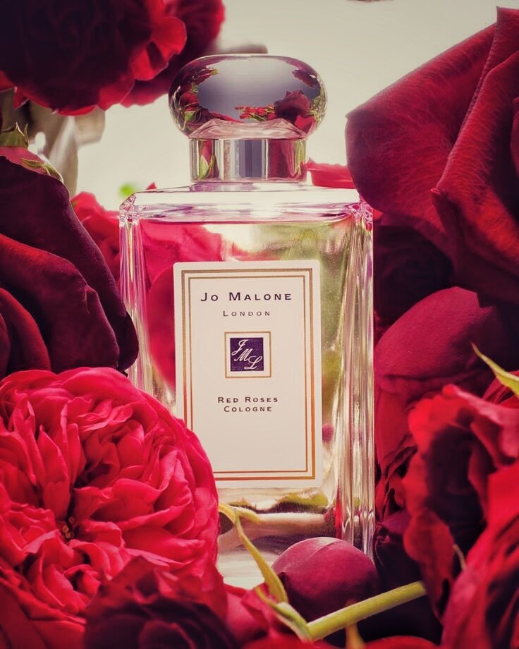 Фото с Pinterest 