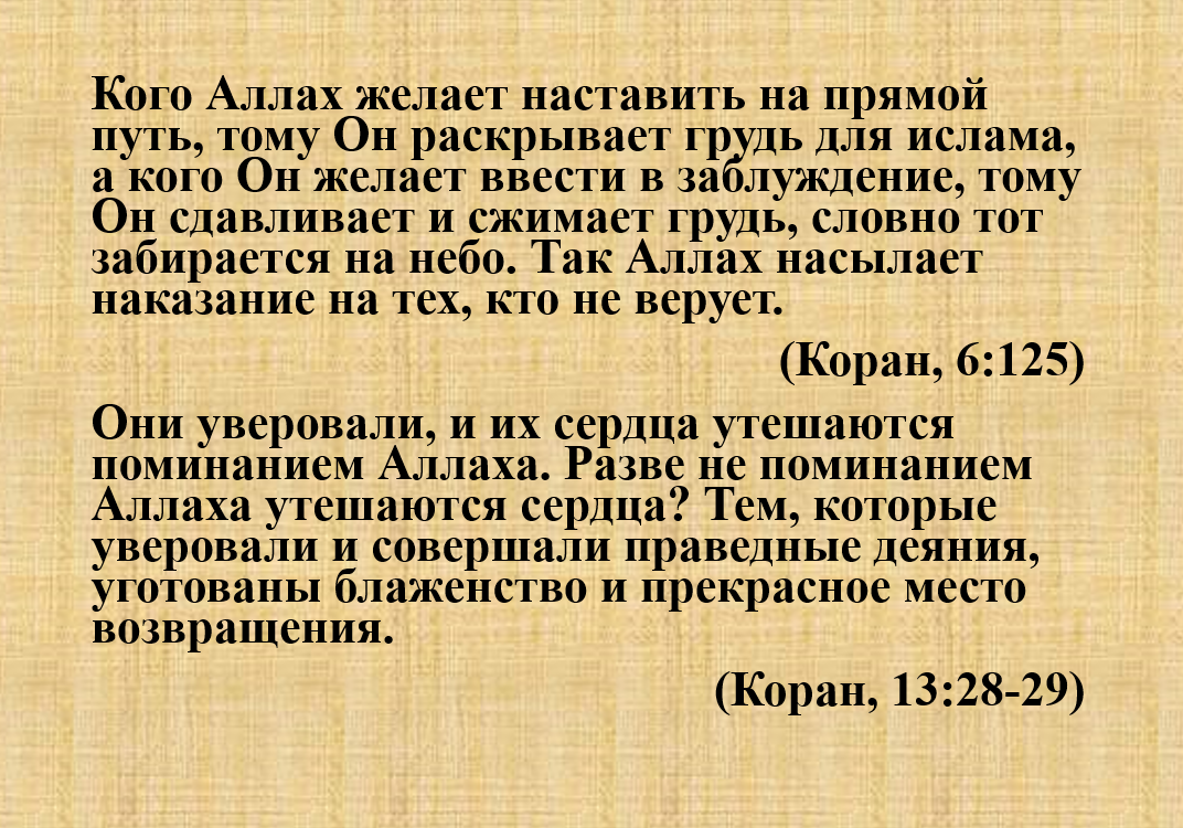 Арина Холина «Не в сиськах счастье, или Вся правда о Золушке»