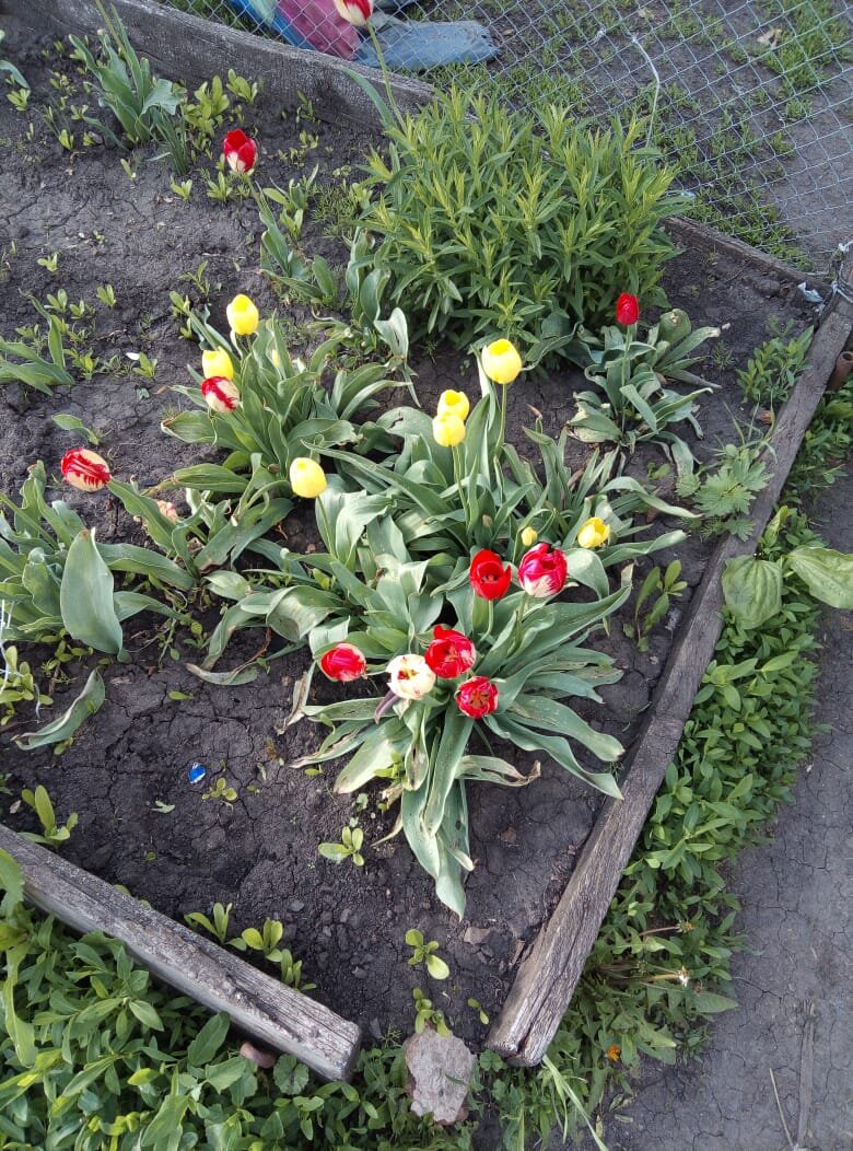 Тамбовская область 