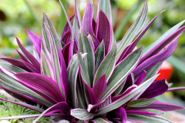 Фото взято с открытого доступа интернет