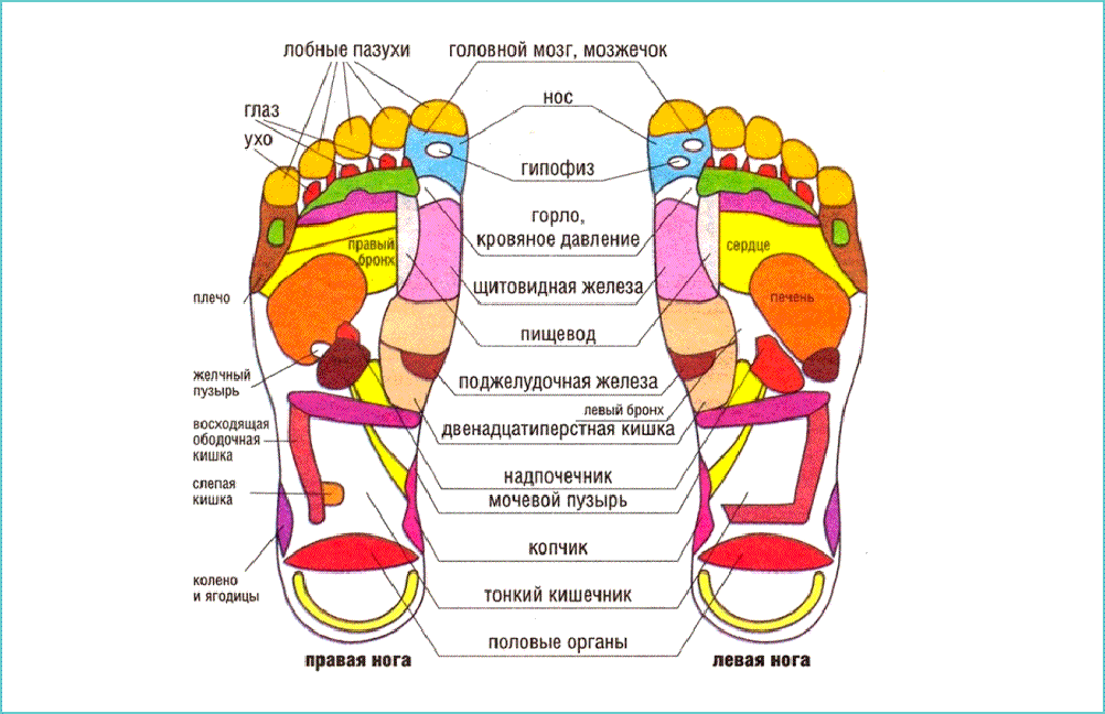 Схема массажа ног картинка