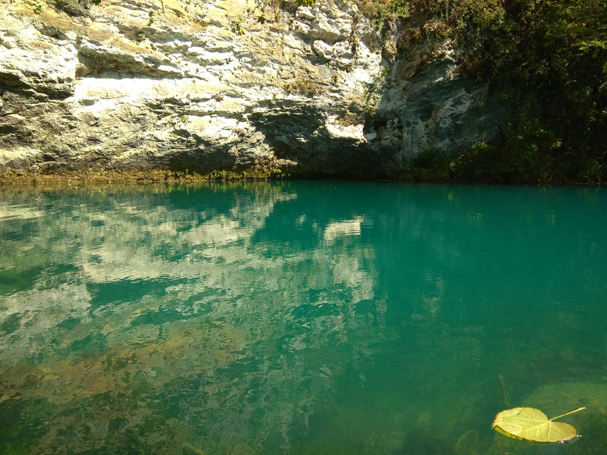 Фото - из личного архива: в тихом омуте...