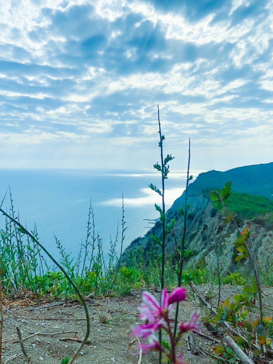 Путь к дому йога 