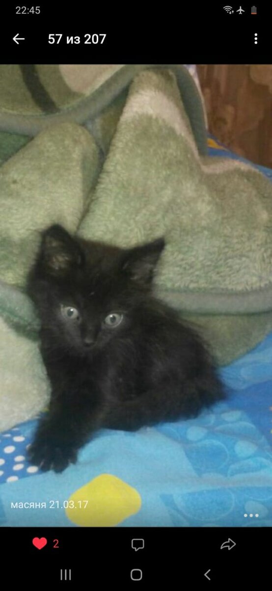 Бубочка наша, первый день дома