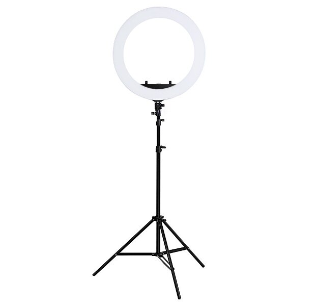 Кольцевая лампа с диаметром 43 см (вид спереди) 