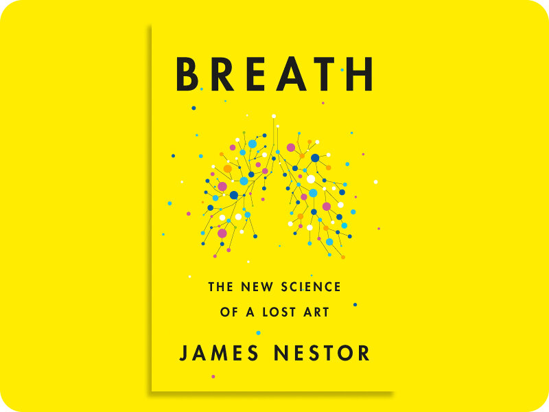 Книга вышла в мае 2020 и сразу получила отметку "N1 Best Seller"