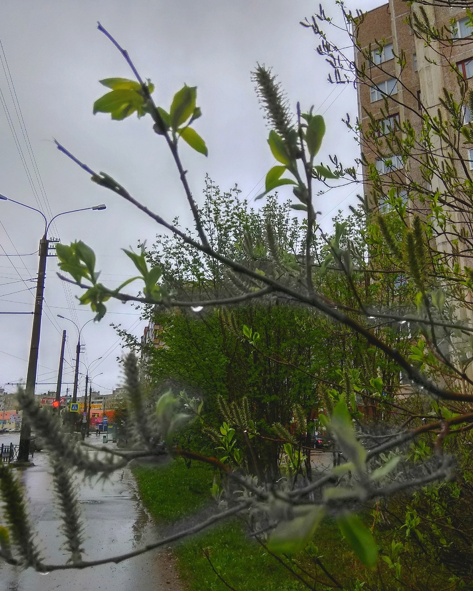 Доброе время суток вам люди! Пожелайте друг диугу счастья! Передайте добро и счастье диугим безкорыстно поделитесь с миром любовью!!!! ✌️