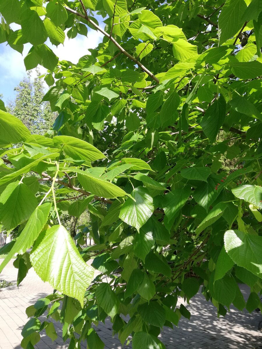 Фото из личного архива