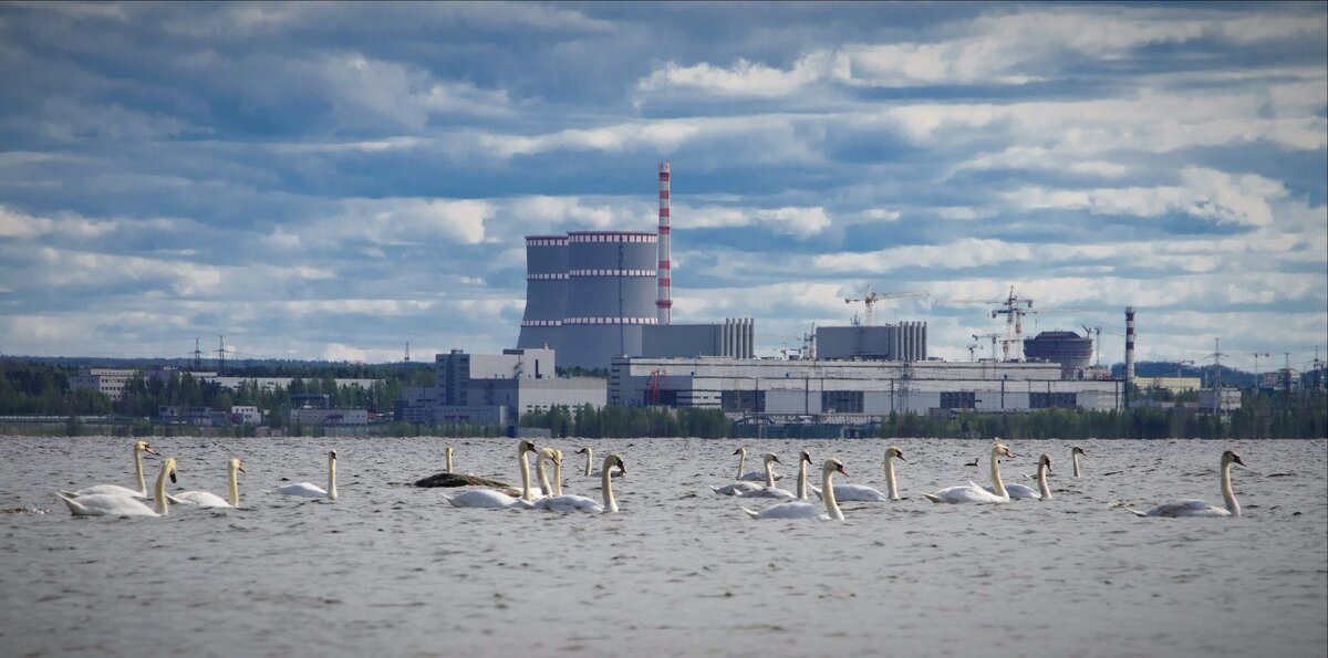 ЛАЭС, вид с залива. Источник: Яндекс картинки