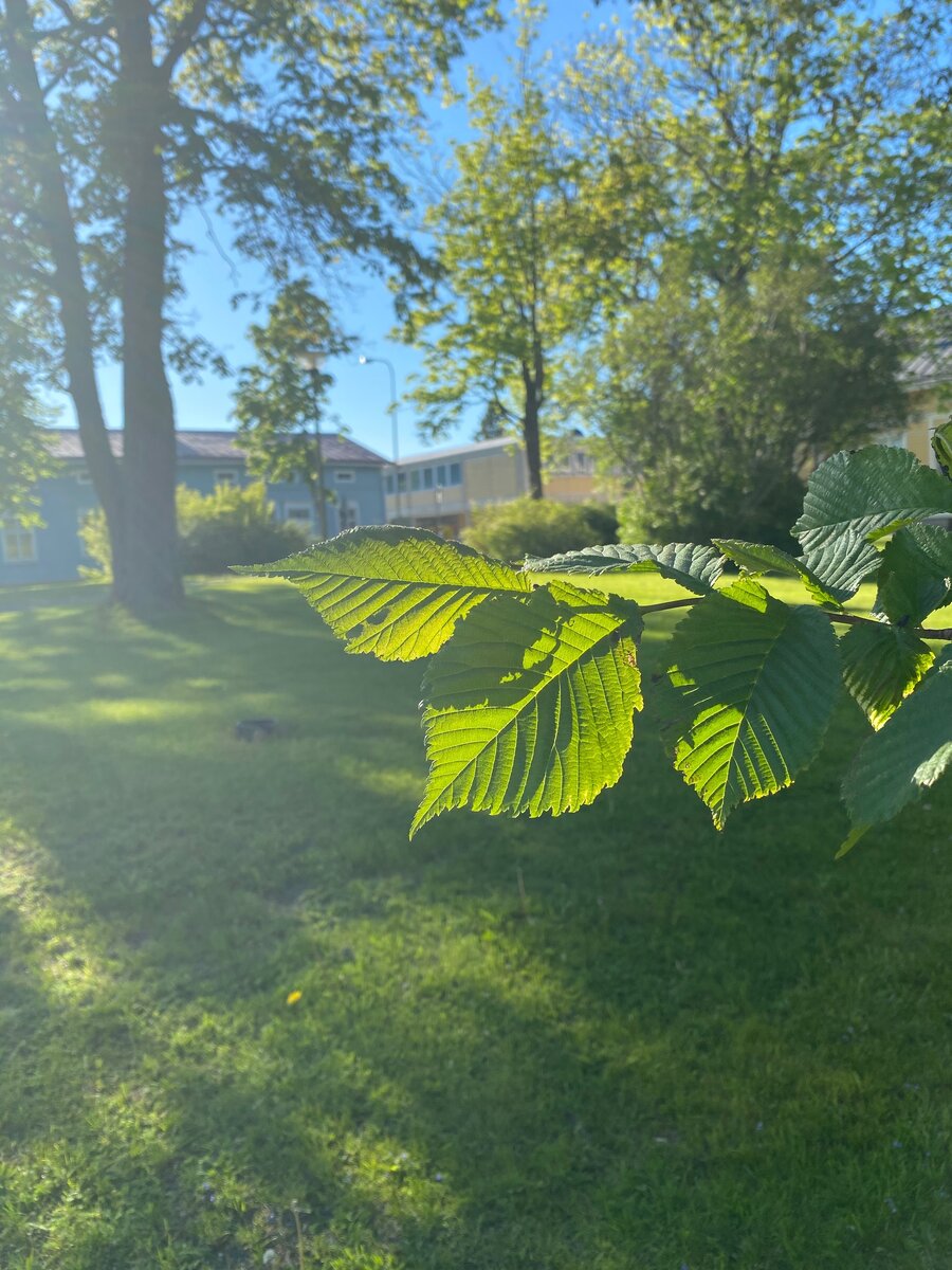 Фото от Чёрных Любови 