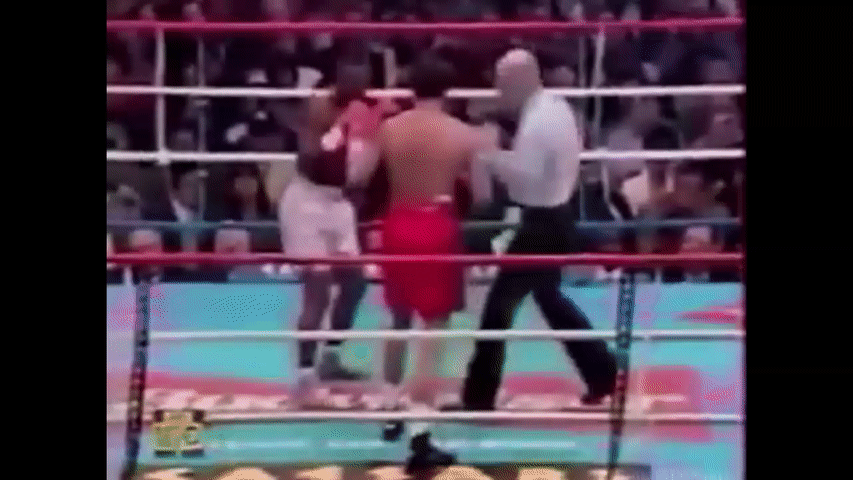 Пернелл Уитакер (White) VS Оскар Де Ла Хойя (Red)