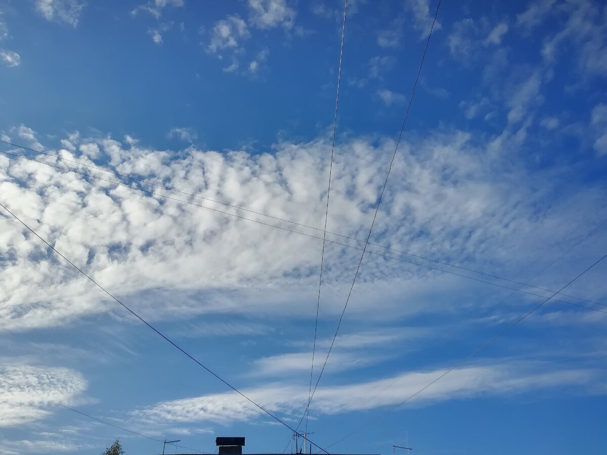 Одиночество – это состояние, когда ты болен собой, устал от себя, надоел сам себе, и ты хочешь куда-то пойти и забыться в ком-то другом. (Ошо)