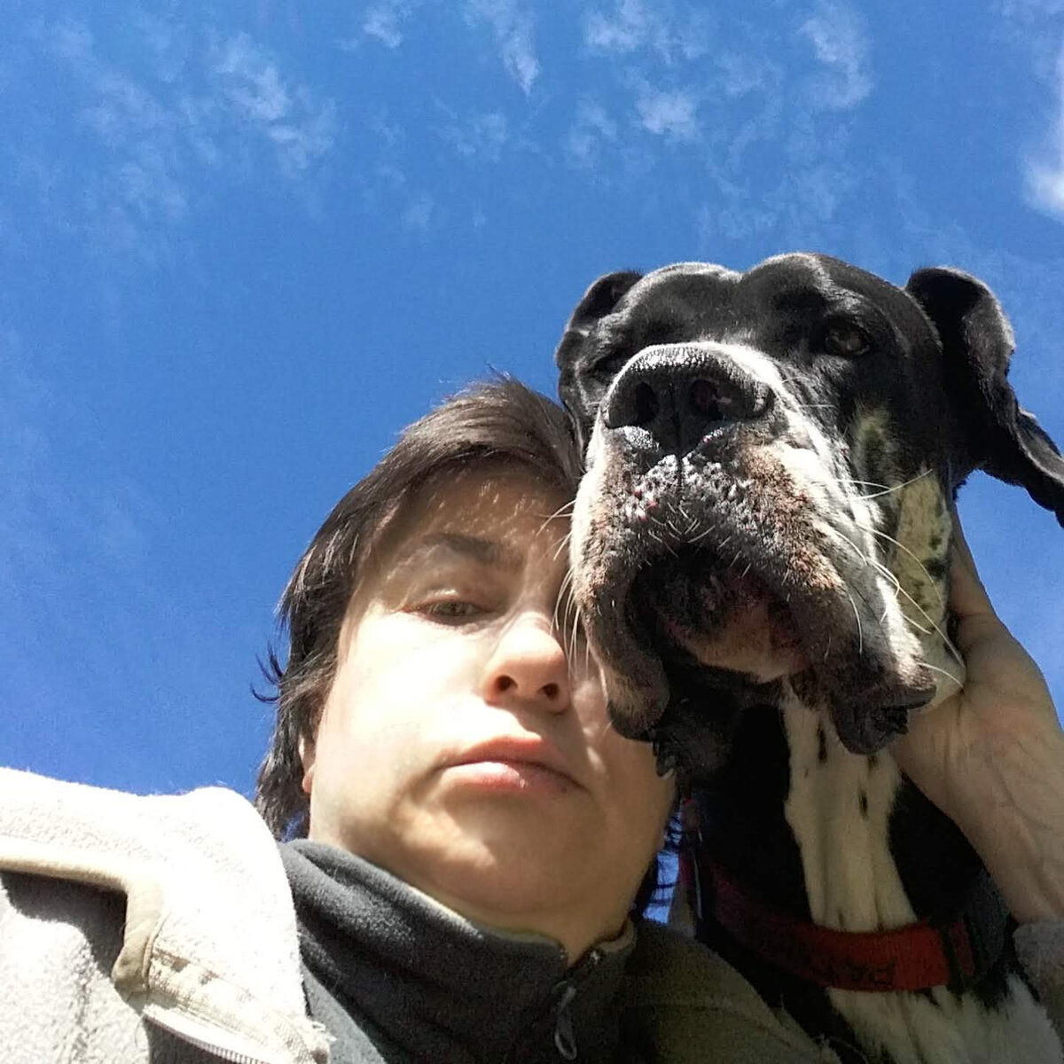 Да, мы со Стёпой нынче не выспались, поэтому злые! Не кусайте нас — и мы не укусим вас…