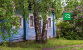 Источник https://www.ogorod.ru/ru/yard/ideas/16681/Kak-formirovat-lesnye-derev'ya-na-uchastke.htm