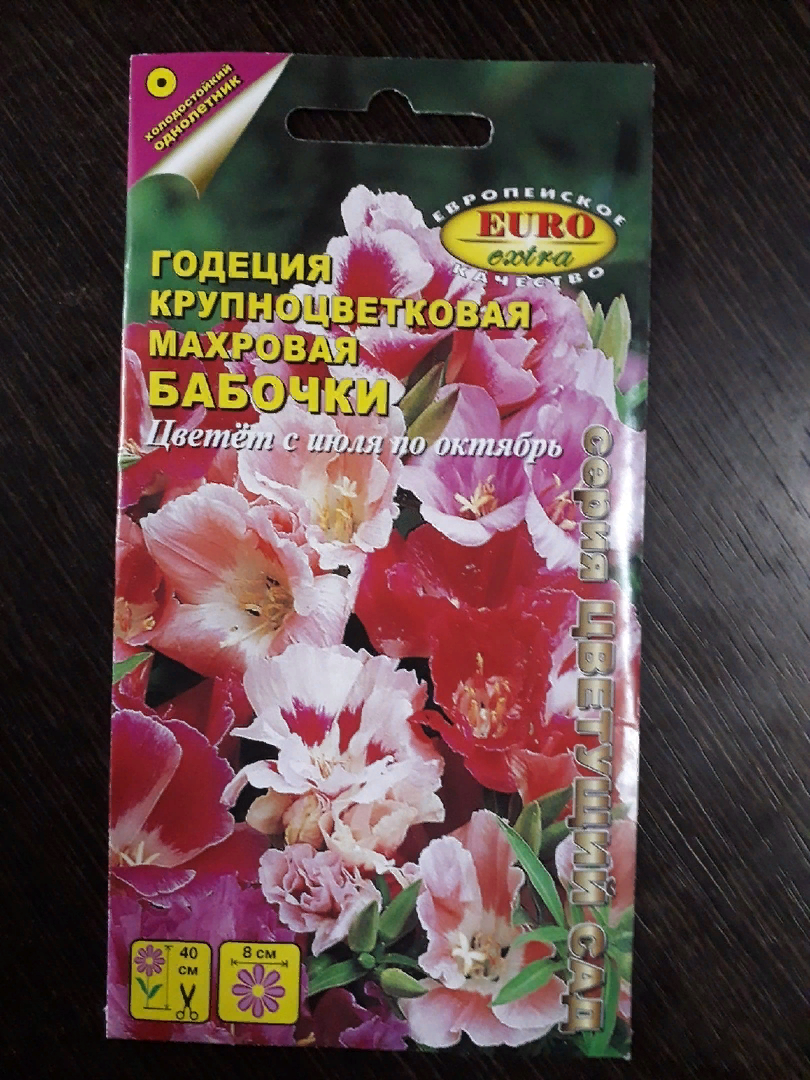 Однолетник, который я посадила, а потом выдернула с корнями1