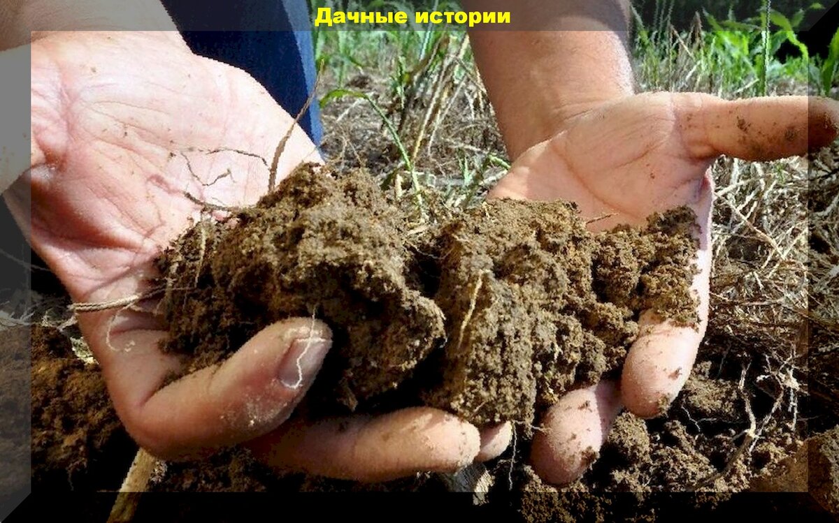 https://vk.com/photo-159774511_457244773