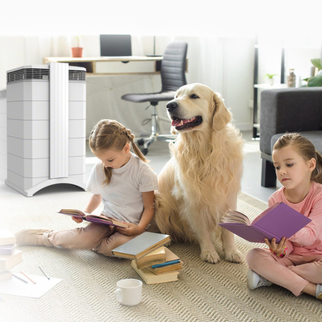 "Зеленый ремонт" в детской - что это такое?