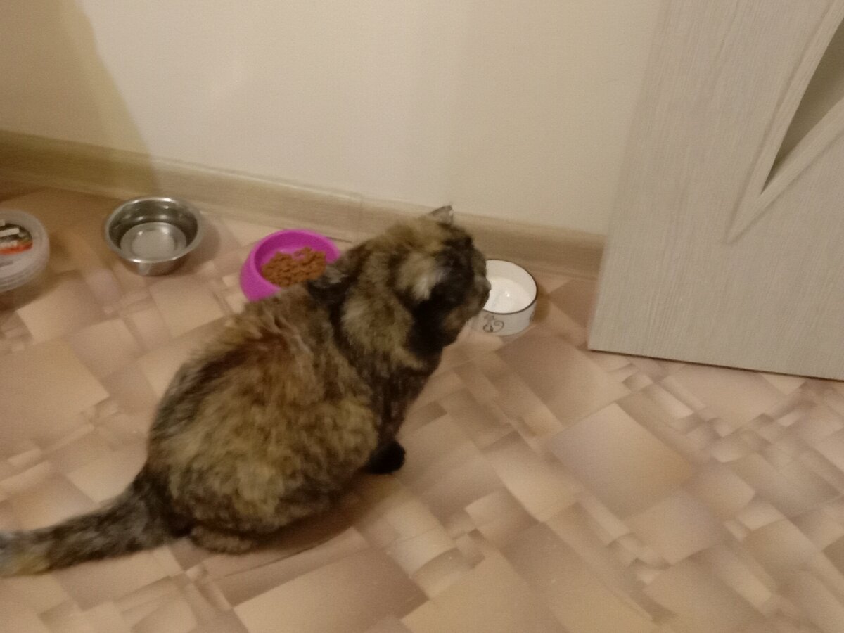 Готовность номер один