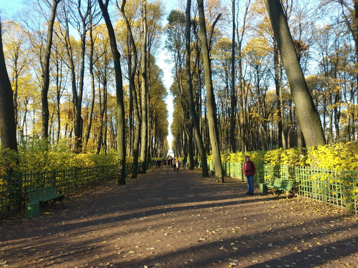 Фото автора