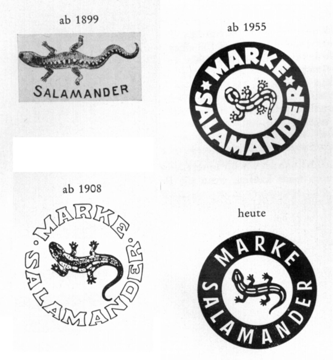 Как менялся логотип Саламандры (фото: top20brands.ru)
