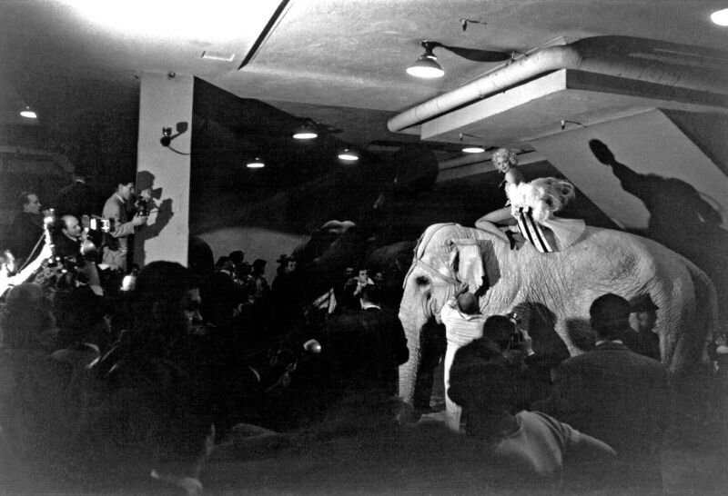 В 1955 году Мэрилин Монро появилась на премьере шоу Ringling Bros., Barnum & Bailey Circus в Мэдисон-Сквер-Гарден.