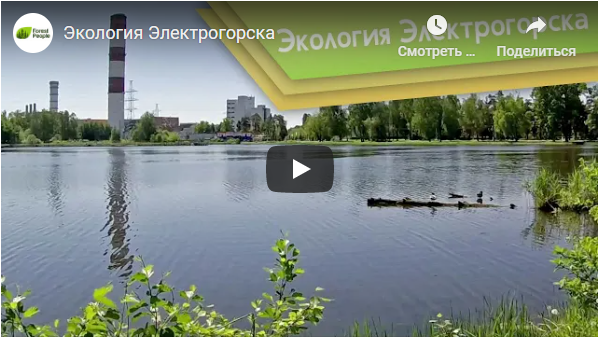 Экология Электрогорска