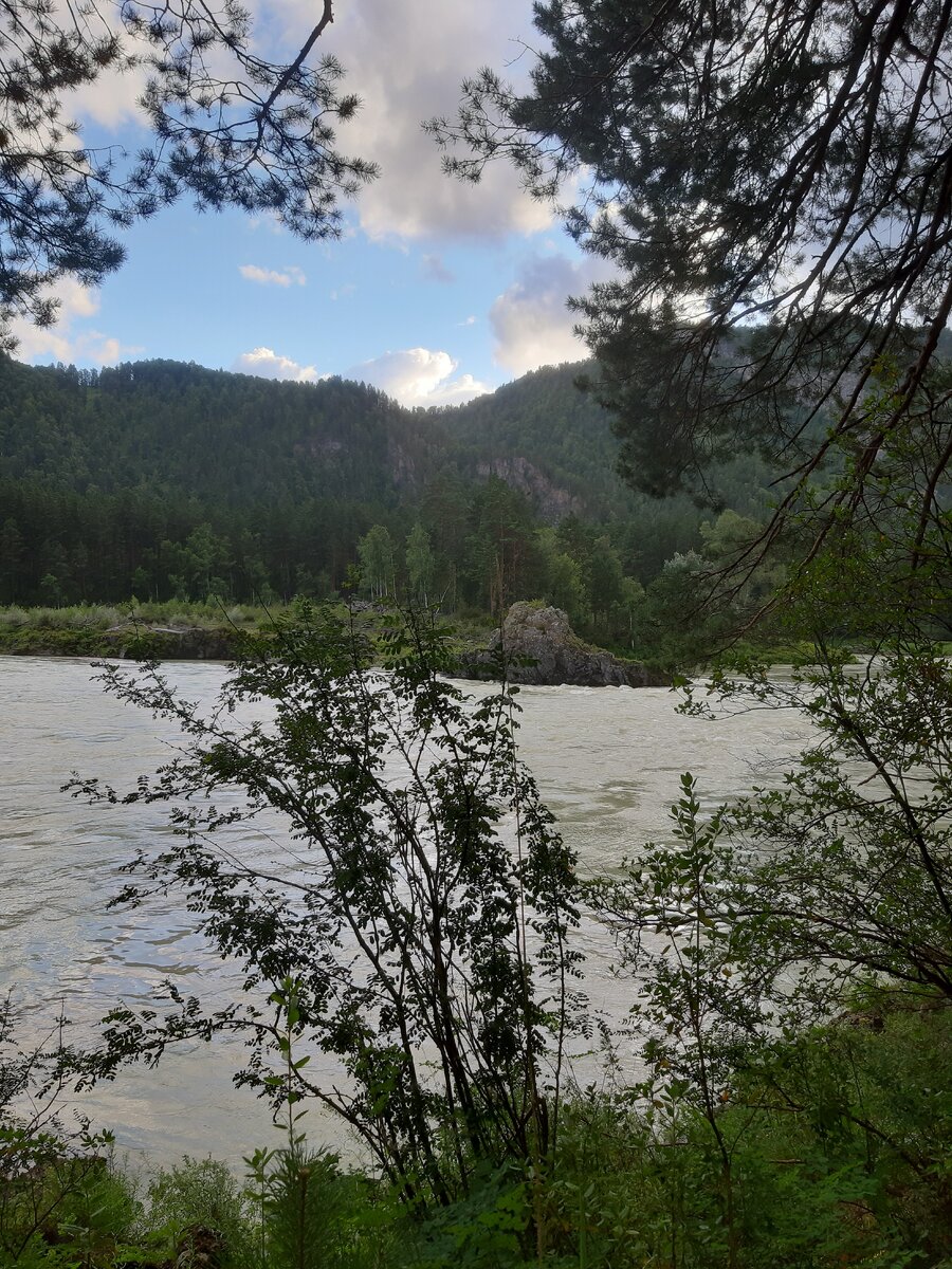 Чемал, Алтай 