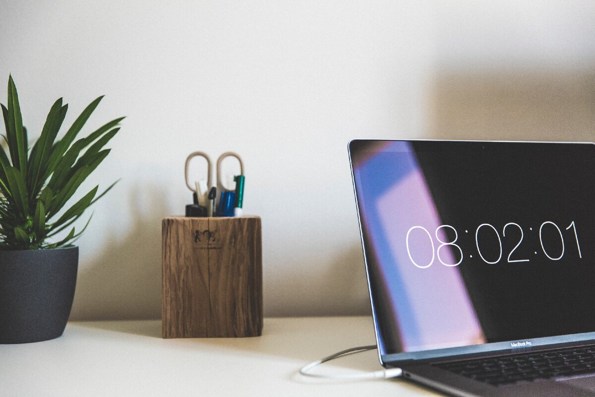 Источник: unsplash.com