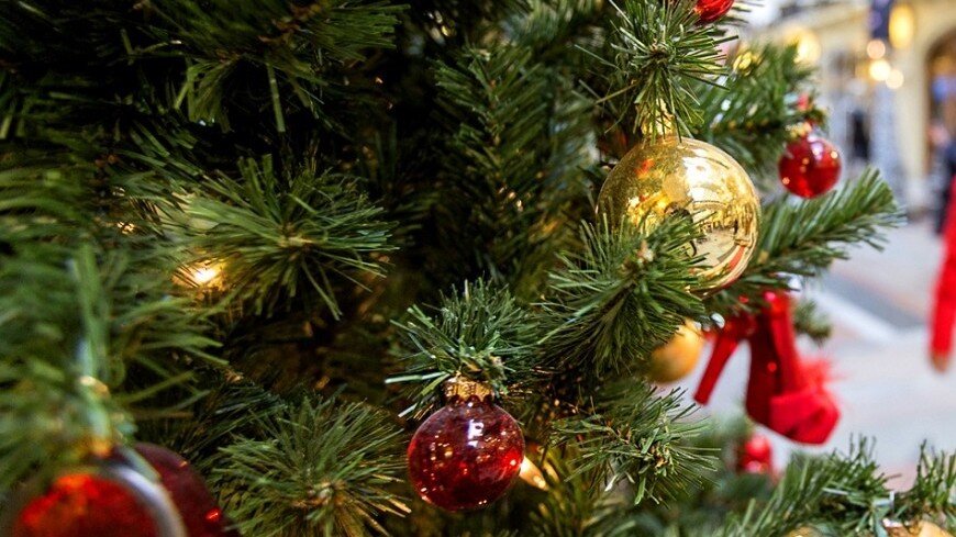 Источник: Мир24