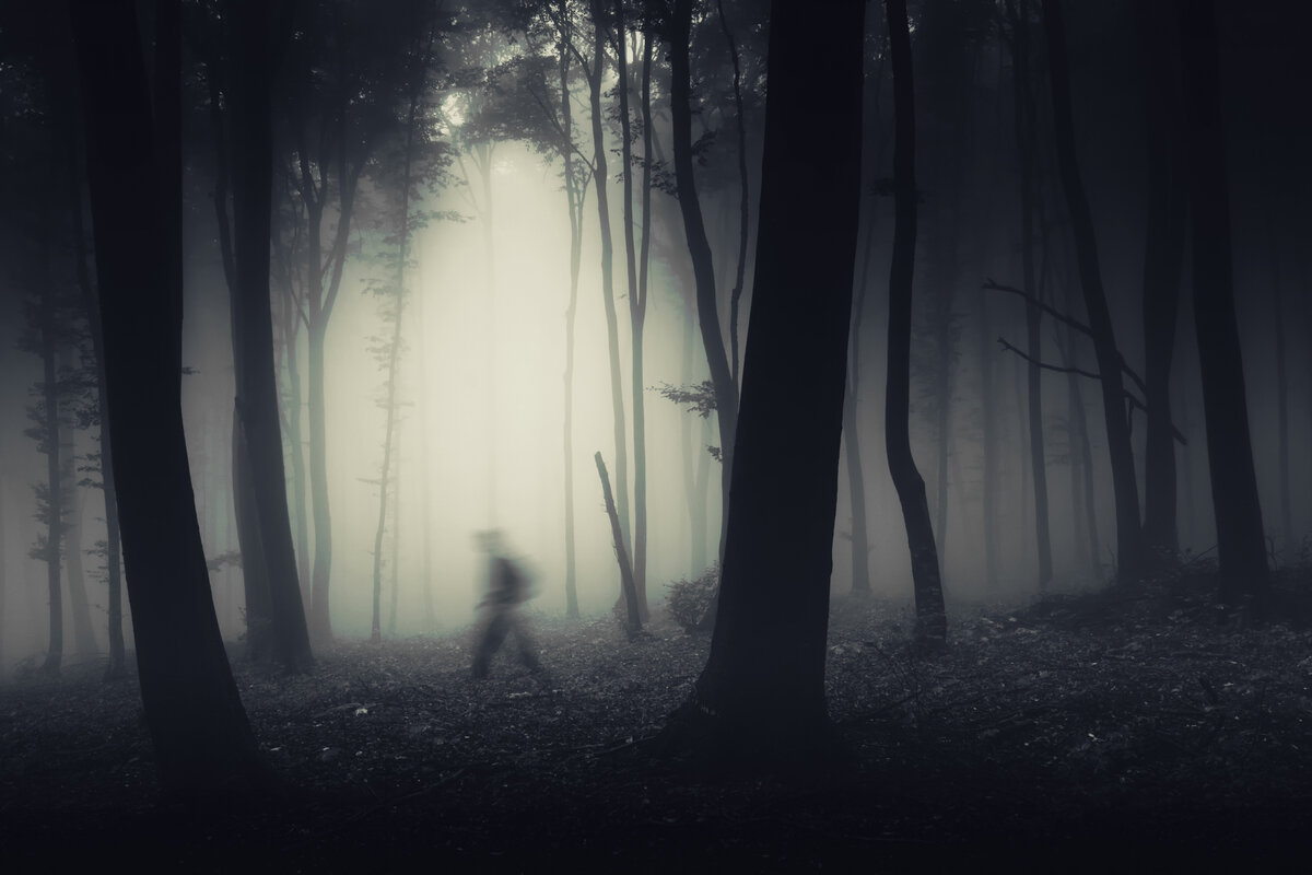 Темный лес Хэллоуин