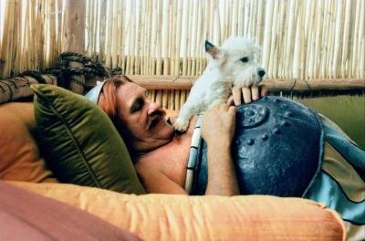 Ушки окрашены у вестика