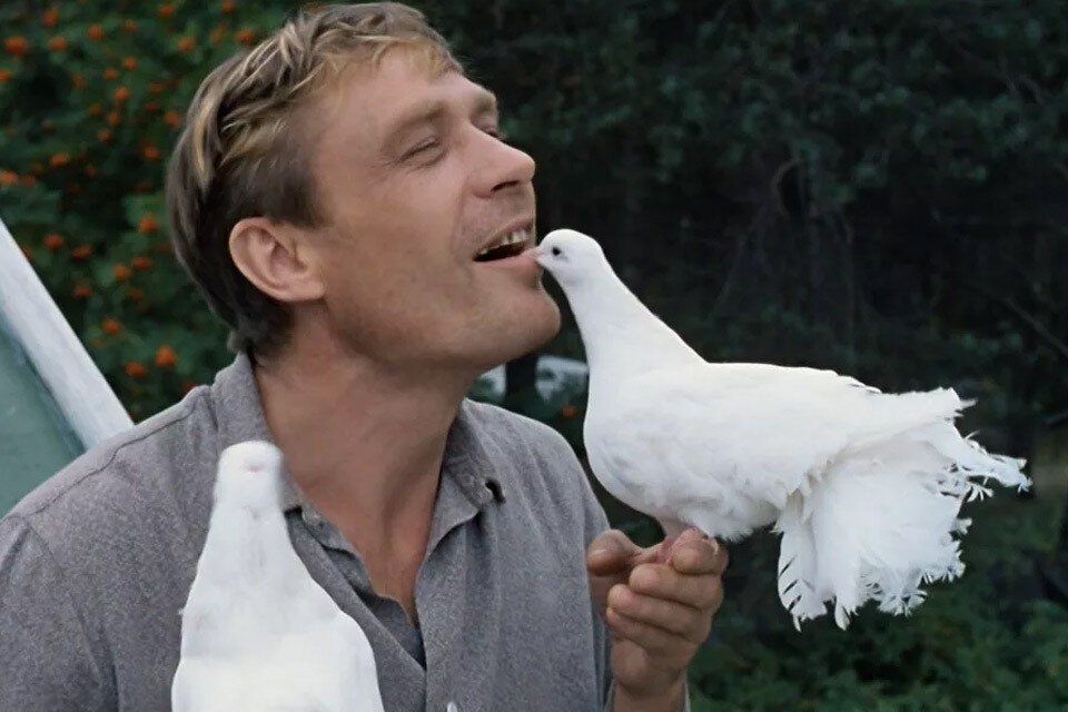 "Любовь и голуби" Кадр из фильма.