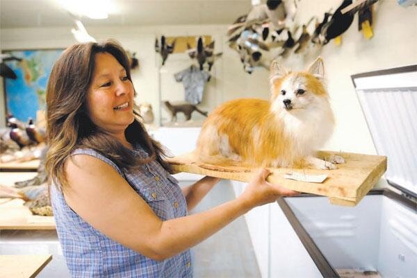 Фото: свободный источник на images.google.com