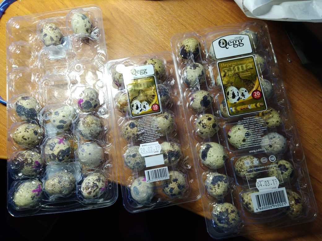 яйца для инкубатора