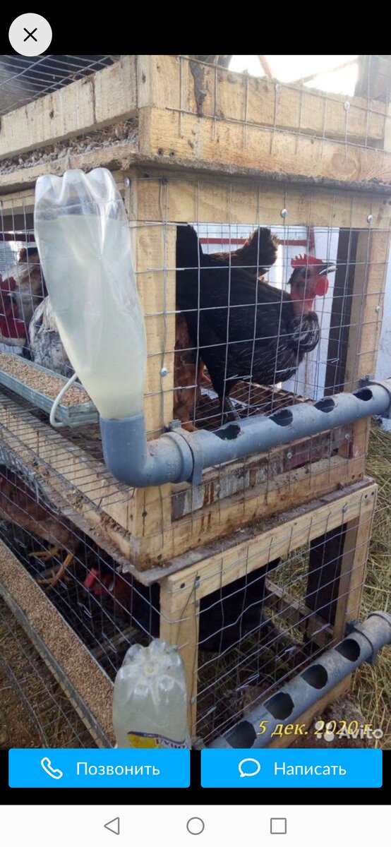 Фото с сайта Авито.ру