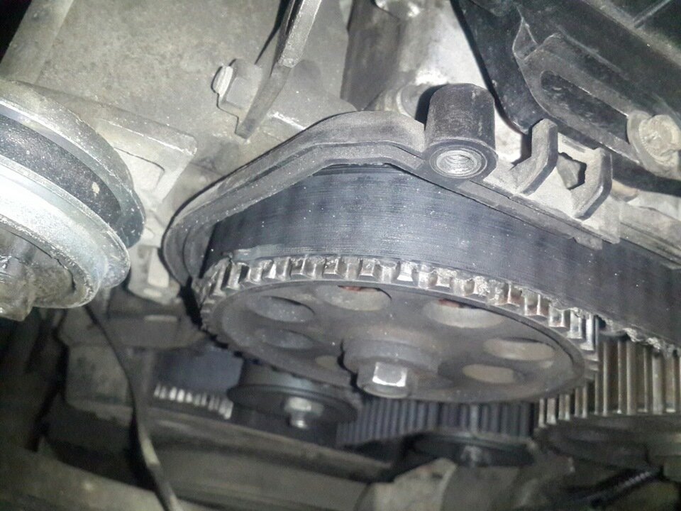 фото из интернета