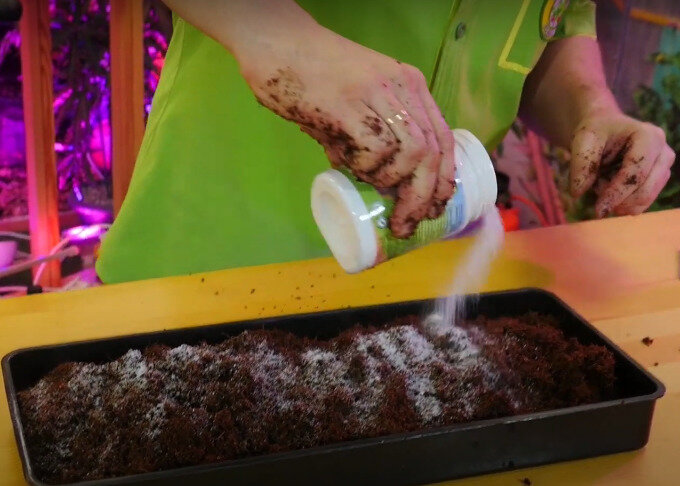 Обработка грунта удобрением