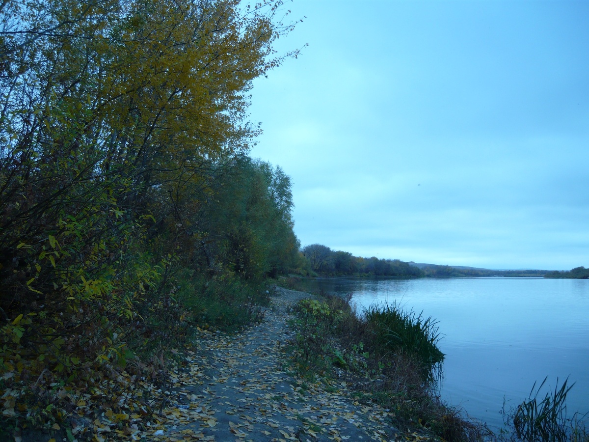 Берег Дона возле Усть-Медведицкого Спасо-Преображенского женского монастыря