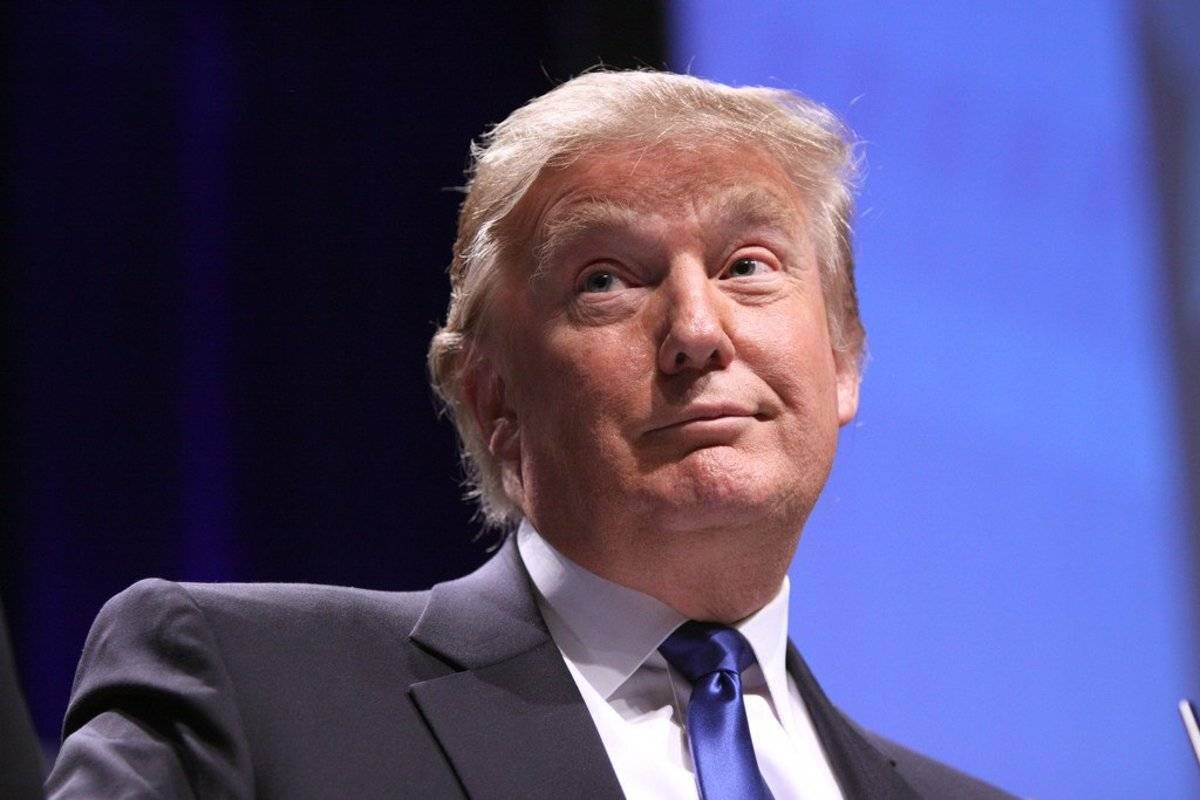 (фото из открытых источников) Не виноватый я...