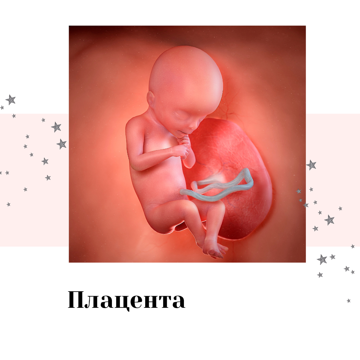 Низкая плацента при беременности: чем опасна и как рожать?