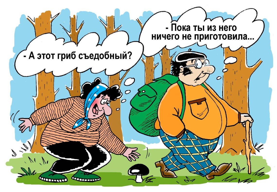 Анекдоты про грибников ч. 4 | Олег Королёв. Рыбалка. Грибы. | Дзен