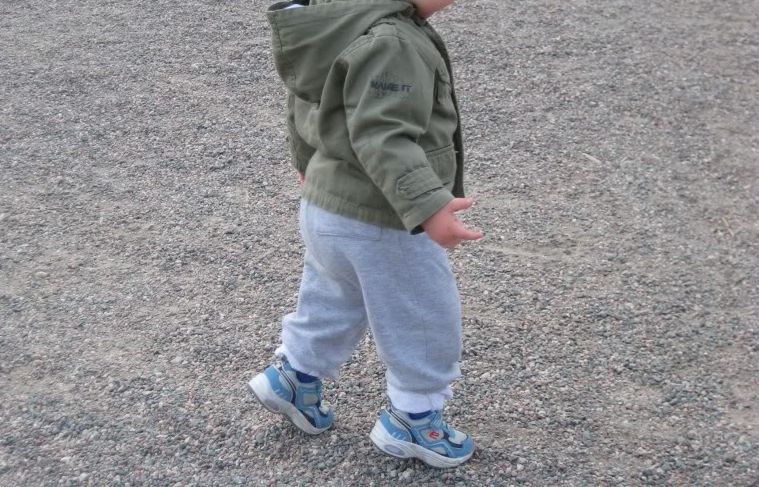 Фото из свободных источников