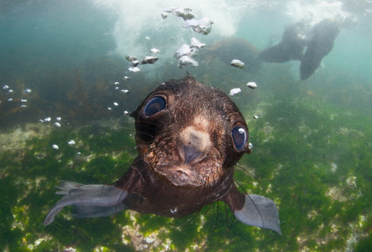 Полностью вычищенный вариант