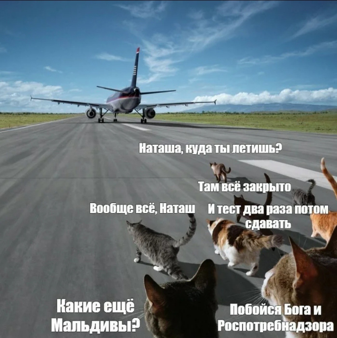 Мем как раз в тему 😂