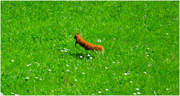 Фотография автора статьи