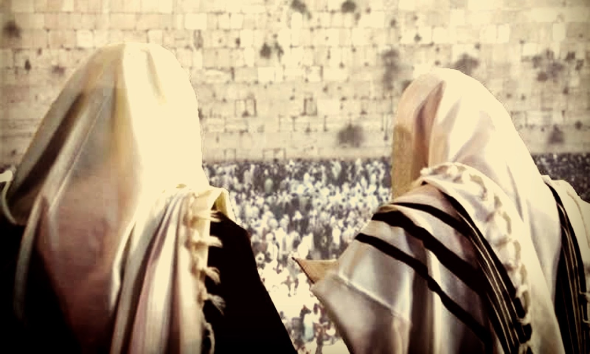 Добавьте описание