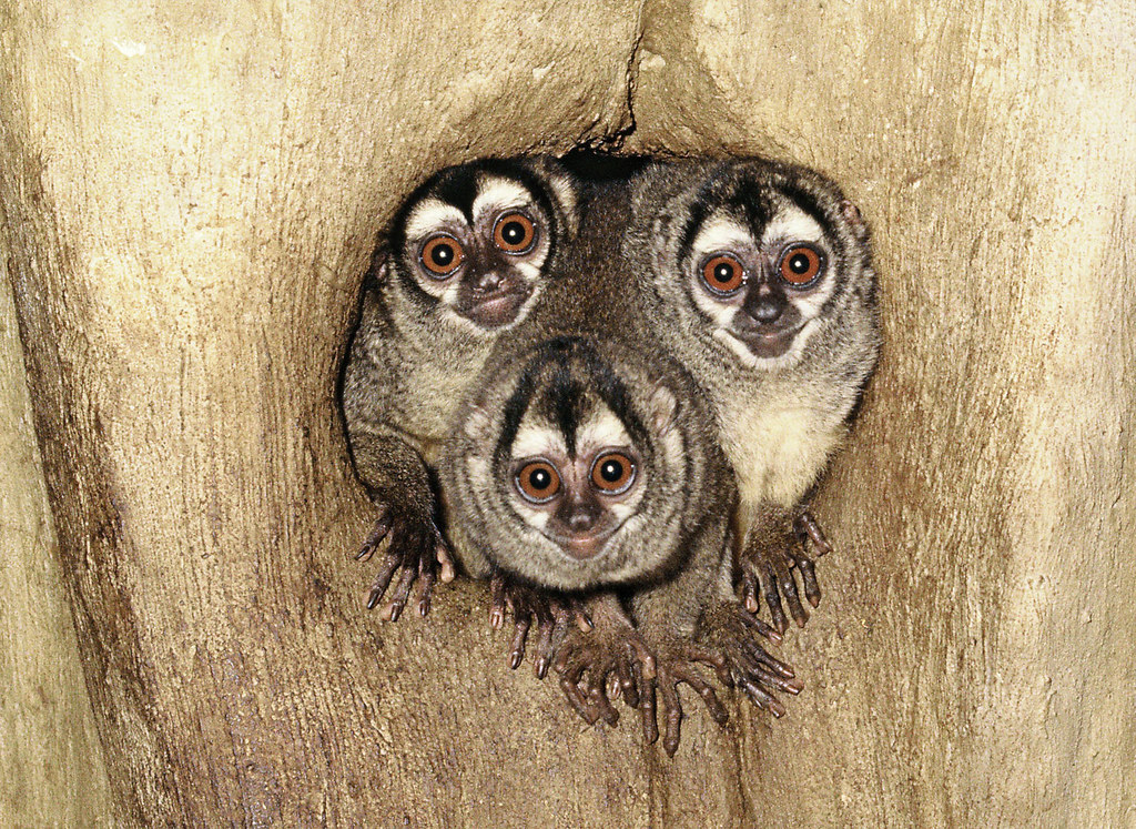 Пацаны, столовка ещё закрыта, чего вы ломитесь? 