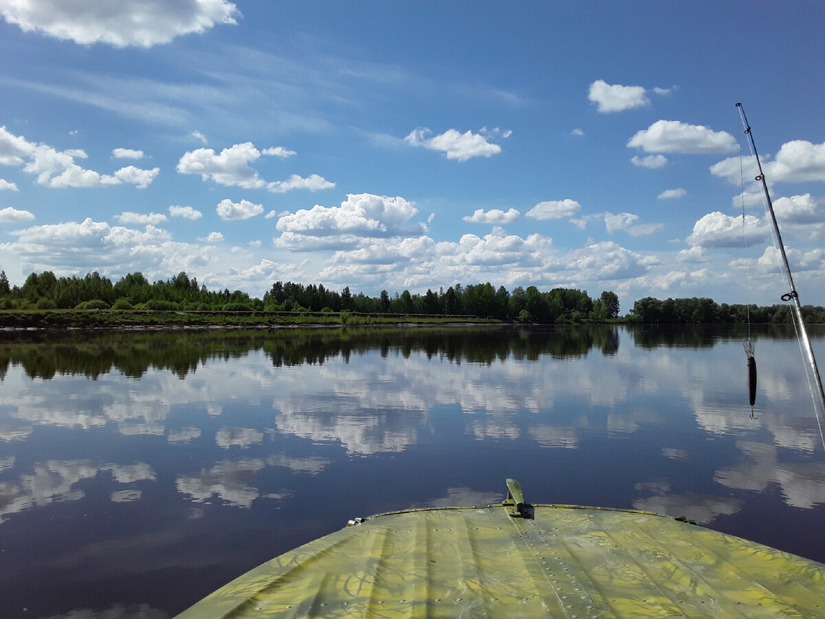 Заплыли на лодке в однин из притоков Иртыша за щукой. Фото из личного архива.